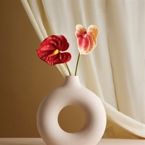    D R E S S B E R R Y     Дордой Европа 1 проход