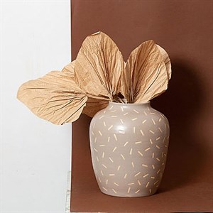    D R E S S B E R R Y     Дордой Европа 1 проход