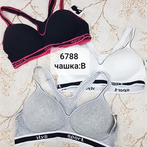 Чашка С и В
