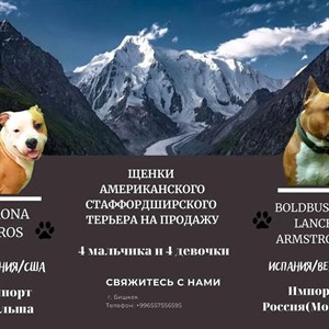  МАГАЗИН ИТАЛЬЯНСКИХ БРЕНДОВ   Нижнее белье Купальники