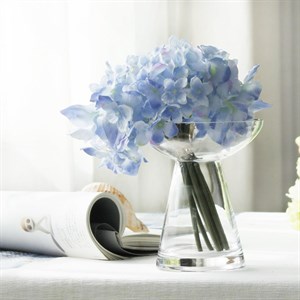    D R E S S B E R R Y     Дордой Европа 1 проход