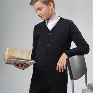 Школьные кофты для мальчиков 2022 года вы подберете