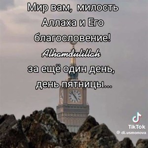 Одежда Дордой Производство Турция Дубай Прямые поставки
