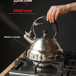 Не упустите СКИДКУ 20 Чайник Granhel из нержавеющей