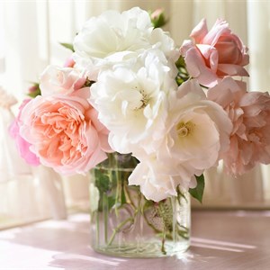    D R E S S B E R R Y     Дордой Европа 1 проход