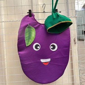 Эксклюзив Осенние новинки Костюм Слива