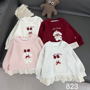 Оптовая продажа свитшотов для детей от 2 до 6 лет | Доступные цены на детскую одежду