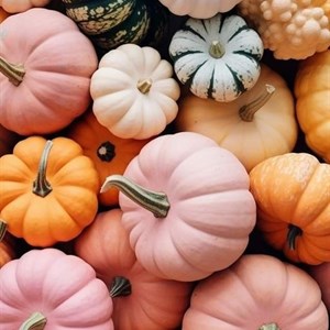 Девочки опрос кто любит кошек Ставим              