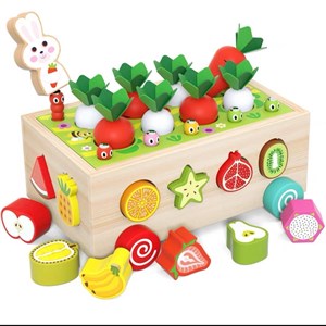 Деревянный сортер для малышей 7в1