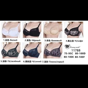 Бюст СДЕ чашки 520 сом Трусы Л 4хл 270 сом