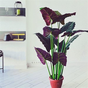 В наших магазинах вы всегда найдете то самое не повторимое