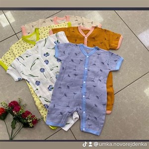 Доставка по всему миру рынок дордой