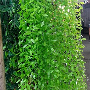 Отправка СНГ 996556898911 WhatsApp