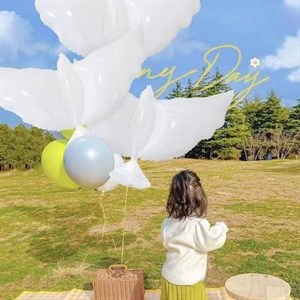 Джунхай 5 ряд 512 513конт Джунхай 6 ряд 5А конт 996707309212