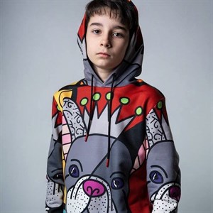 Худи fn1brandхуди Размер 8 16 лет О П Т О М 996555804011