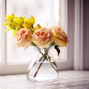    D R E S S B E R R Y     Дордой Европа 1 проход