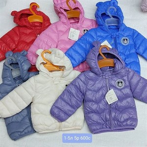 Новое поступление