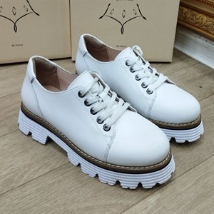 New collection