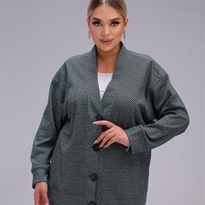 Костюм Дв принт гусиные лапки Арт 2143 Ткань Трикотаж