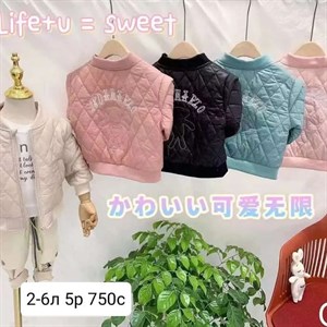 Новое поступление весенних ветровок