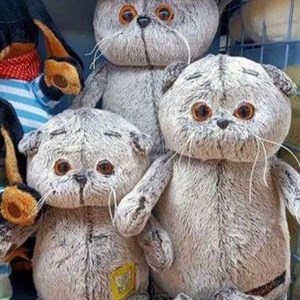 р Дордой проход А2 конт 1710 мягкая игрушка оптом