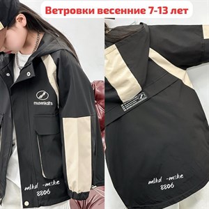 НОВЫЕ МОДЕЛИ     ТОЛЬКО ОПТОМ ВЕТРОВКИ ВЕСНА КОД 8801