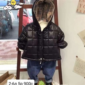 Ветровки на весну