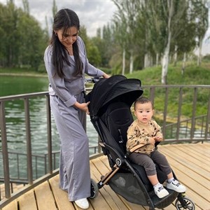 Дизайнерская коляска Её рама просто потрясающая Рама