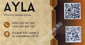 Дордой АЗС-Север 5 проход 250В