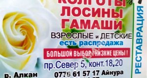 Дордой Алканов Север 5 18