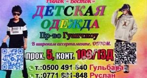 Дордой Восток 5 проход 100/13Д