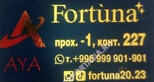 Дордой Мурас-Спорт -1 проход (самопошив) 227:2