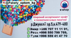 Дордой Джунхай 5 проход (канцелярский) 479-480