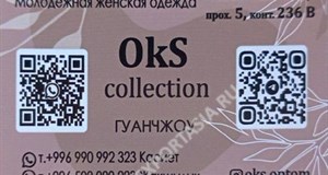 Дордой АЗС-Север 5 проход 236В