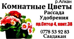 Дордой Алканов Север 4 38