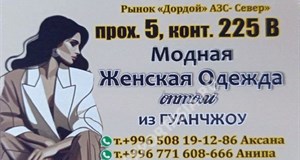 Дордой АЗС-Север 5 проход 225В